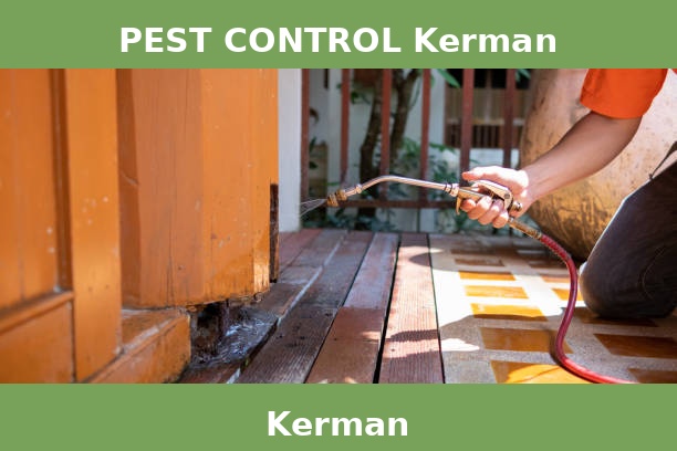 PEST CONTROL Kerman